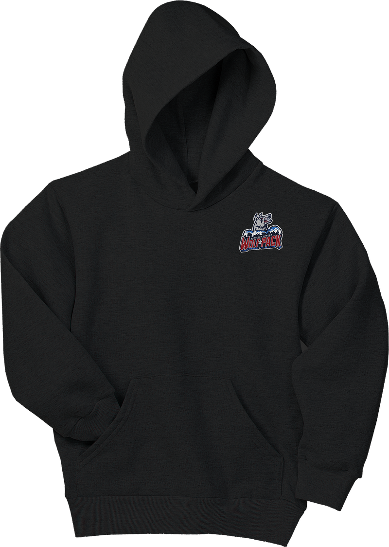 Hartford Jr. Wolfpack Youth EcoSmart Pullover Hooded Sweatshirt