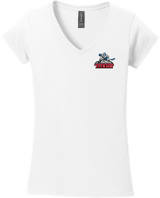 NJ Titans Softstyle Ladies Fit V-Neck T-Shirt